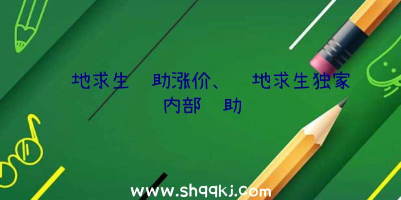 绝地求生辅助涨价、绝地求生独家内部辅助