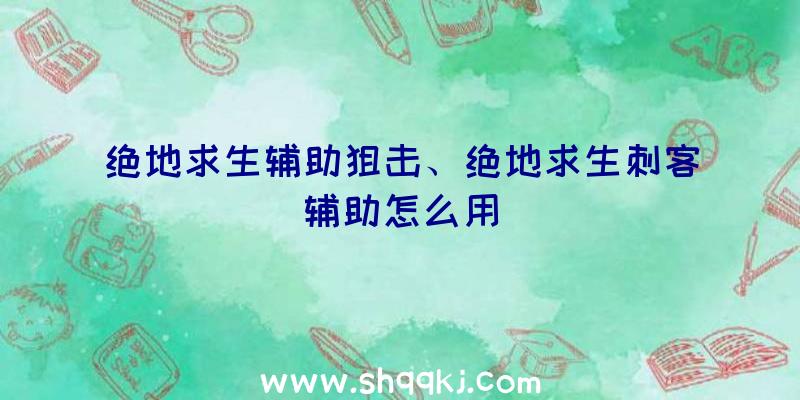 绝地求生辅助狙击、绝地求生刺客辅助怎么用