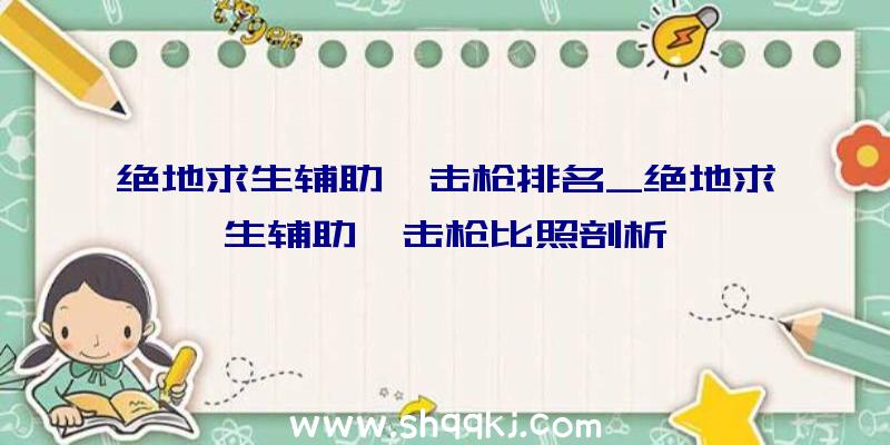 绝地求生辅助狙击枪排名_绝地求生辅助狙击枪比照剖析