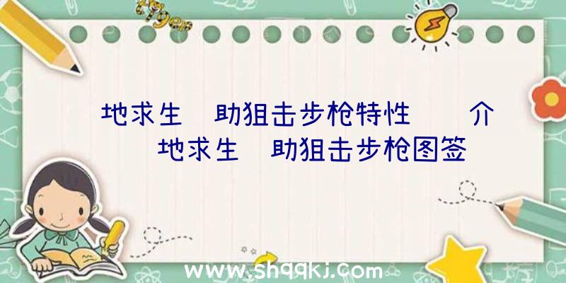 绝地求生辅助狙击步枪特性详细介绍绝地求生辅助狙击步枪图签