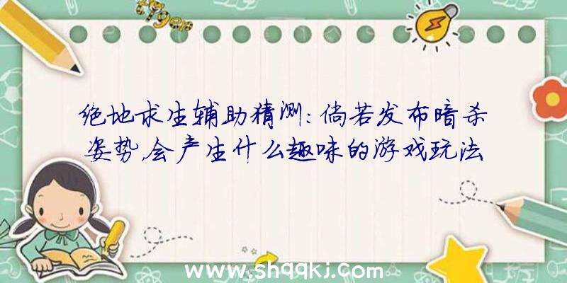 绝地求生辅助猜测：倘若发布暗杀姿势，会产生什么趣味的游戏玩法？