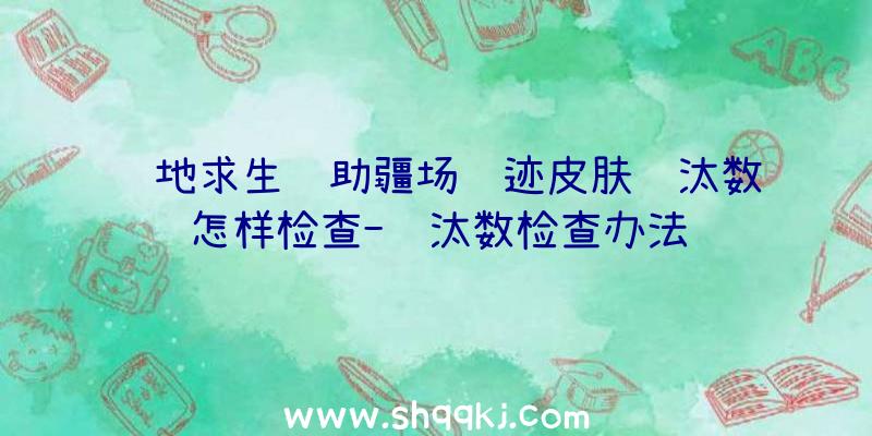 绝地求生辅助疆场陈迹皮肤镌汰数怎样检查-镌汰数检查办法