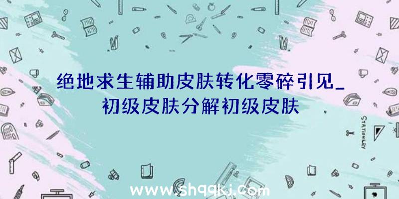 绝地求生辅助皮肤转化零碎引见_初级皮肤分解初级皮肤