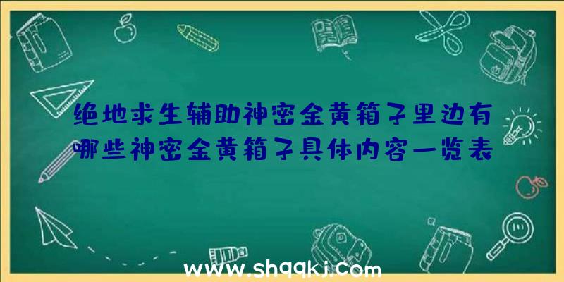 绝地求生辅助神密金黄箱子里边有哪些神密金黄箱子具体内容一览表明