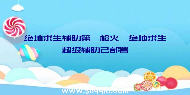 绝地求生辅助第一枪火、绝地求生超级辅助已部署