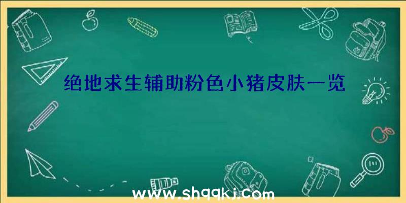 绝地求生辅助粉色小猪皮肤一览