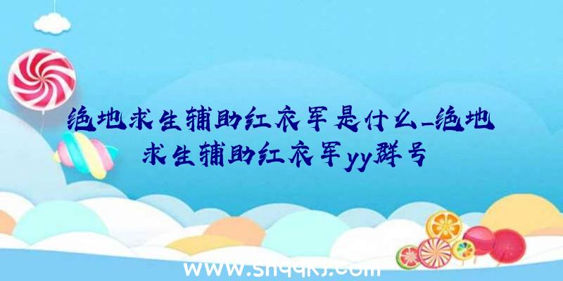 绝地求生辅助红衣军是什么_绝地求生辅助红衣军yy群号