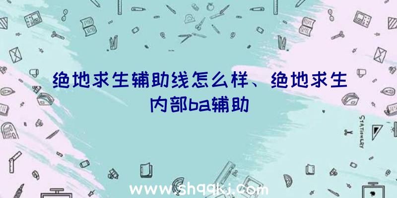 绝地求生辅助线怎么样、绝地求生内部ba辅助