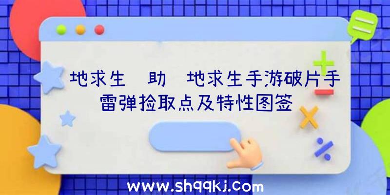 绝地求生辅助绝地求生手游破片手雷弹捡取点及特性图签