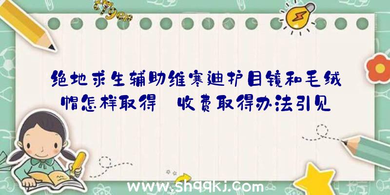 绝地求生辅助维寒迪护目镜和毛绒帽怎样取得_收费取得办法引见