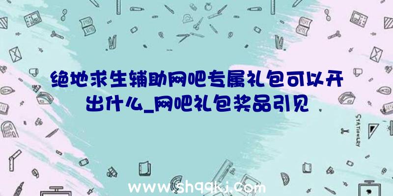 绝地求生辅助网吧专属礼包可以开出什么_网吧礼包奖品引见