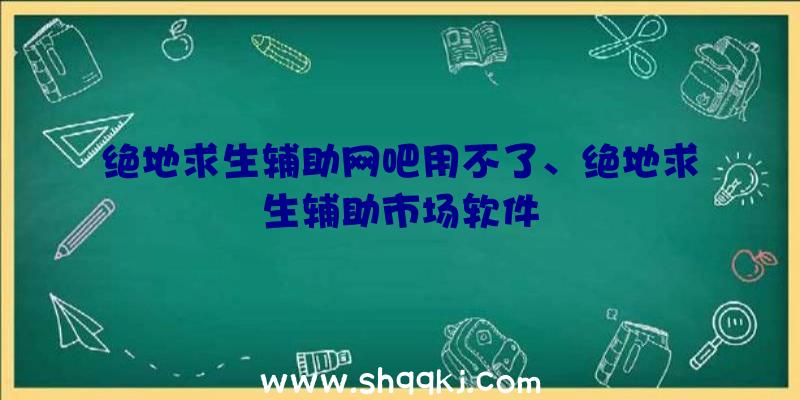 绝地求生辅助网吧用不了、绝地求生辅助市场软件