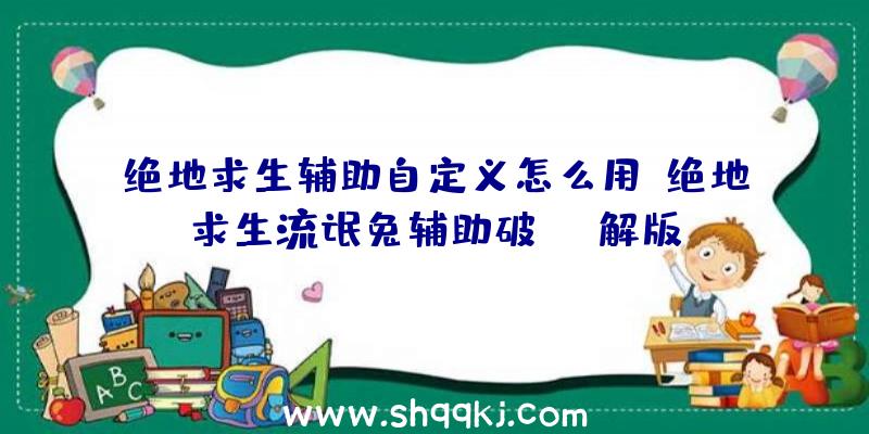 绝地求生辅助自定义怎么用、绝地求生流氓兔辅助破解版