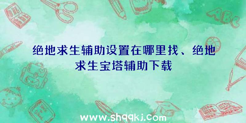 绝地求生辅助设置在哪里找、绝地求生宝塔辅助下载