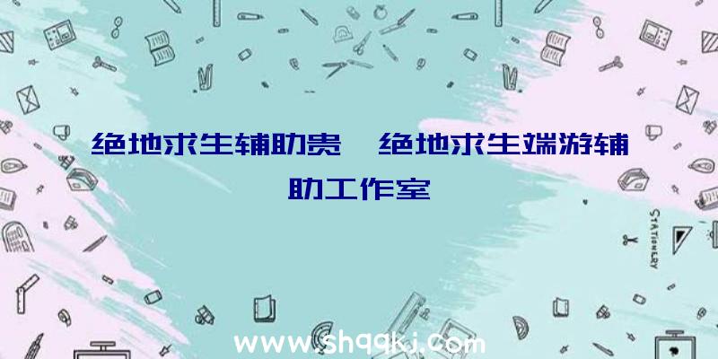 绝地求生辅助贵、绝地求生端游辅助工作室