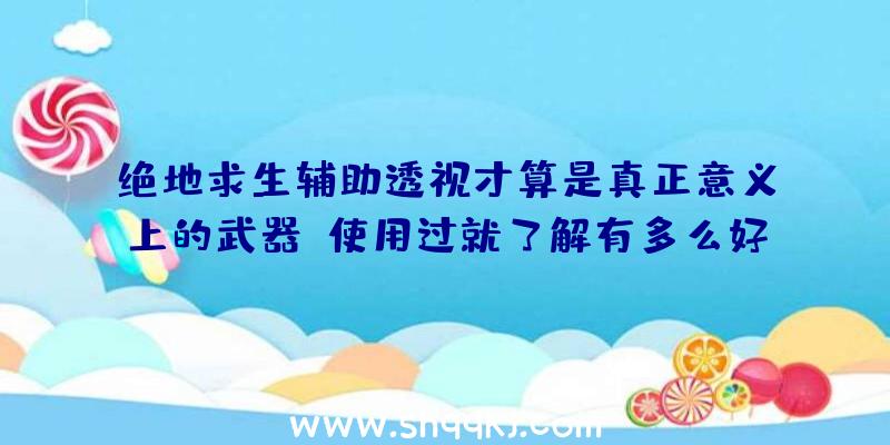 绝地求生辅助透视才算是真正意义上的武器，使用过就了解有多么好