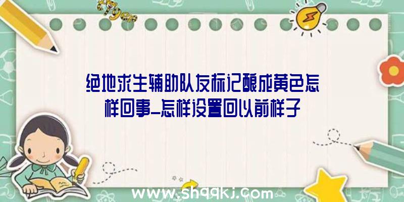 绝地求生辅助队友标记酿成黄色怎样回事_怎样设置回以前样子