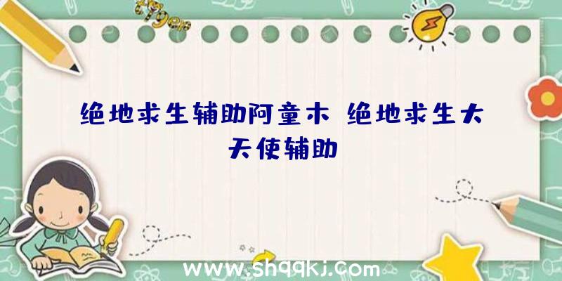 绝地求生辅助阿童木、绝地求生大天使辅助