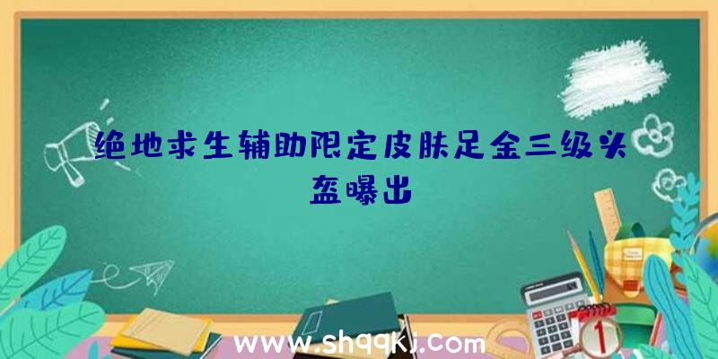 绝地求生辅助限定皮肤足金三级头盔曝出