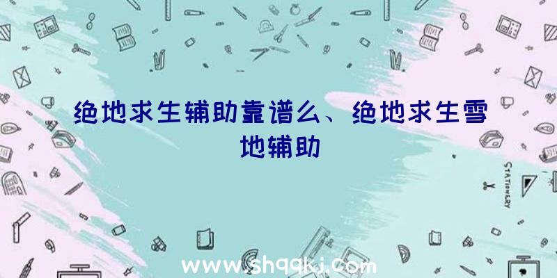 绝地求生辅助靠谱么、绝地求生雪地辅助