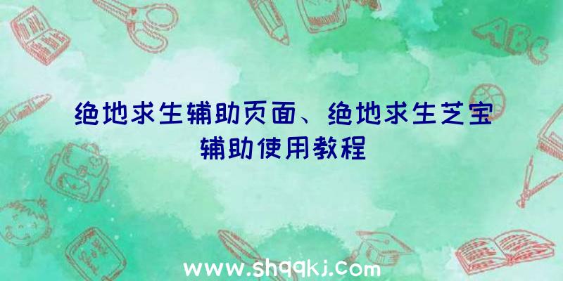 绝地求生辅助页面、绝地求生芝宝辅助使用教程