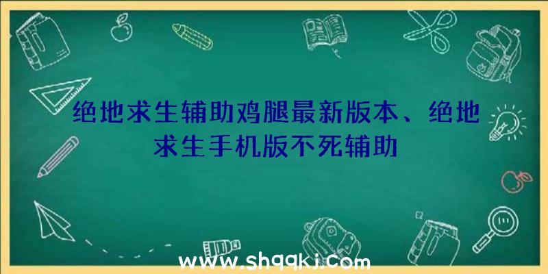 绝地求生辅助鸡腿最新版本、绝地求生手机版不死辅助