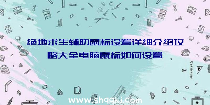 绝地求生辅助鼠标设置详细介绍攻略大全电脑鼠标如何设置