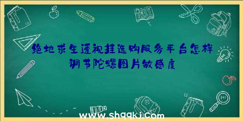 绝地求生透视挂选购服务平台怎样调节陀螺图片敏感度