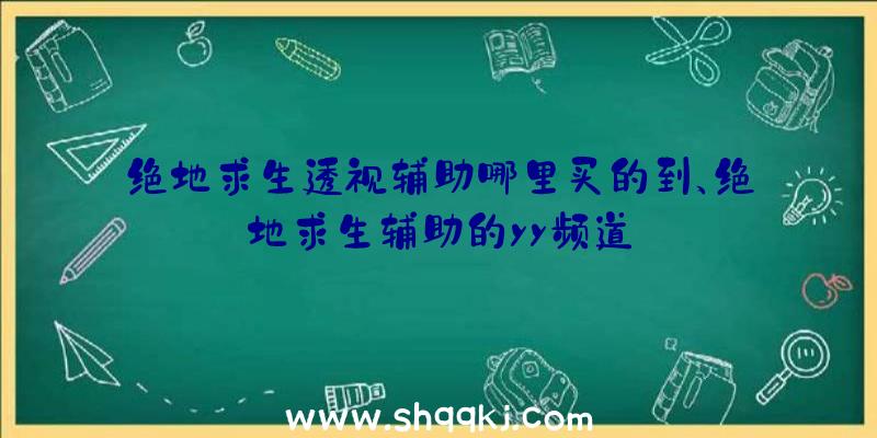 绝地求生透视辅助哪里买的到、绝地求生辅助的yy频道