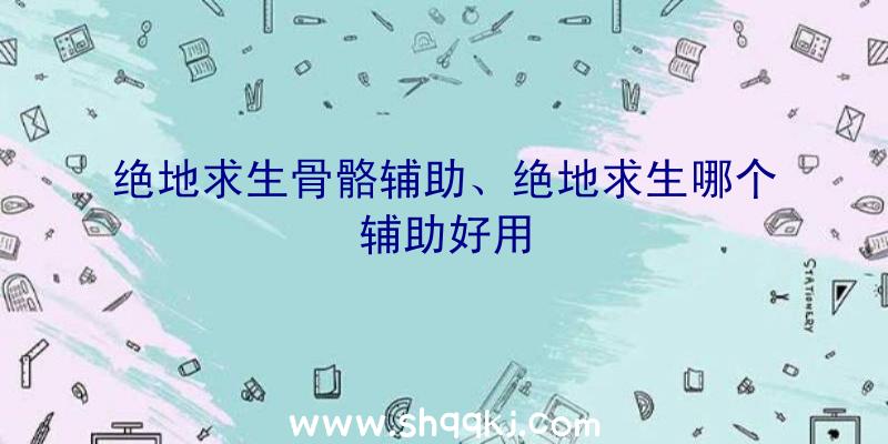 绝地求生骨骼辅助、绝地求生哪个辅助好用