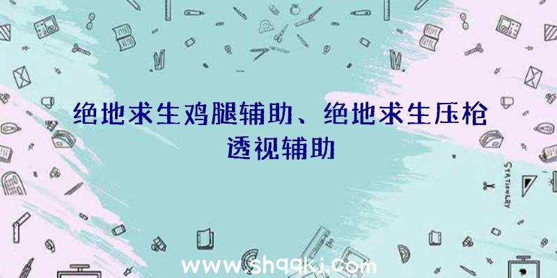 绝地求生鸡腿辅助、绝地求生压枪透视辅助