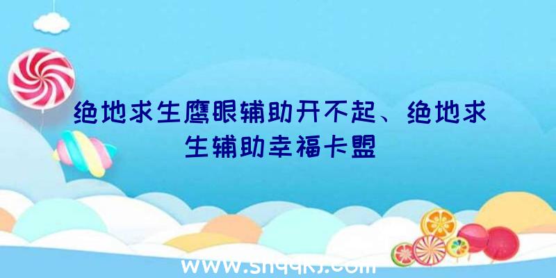 绝地求生鹰眼辅助开不起、绝地求生辅助幸福卡盟