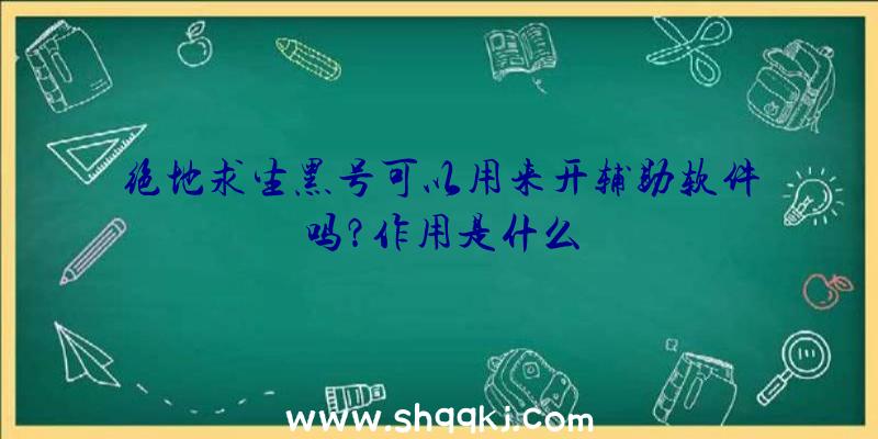 绝地求生黑号可以用来开辅助软件吗？作用是什么