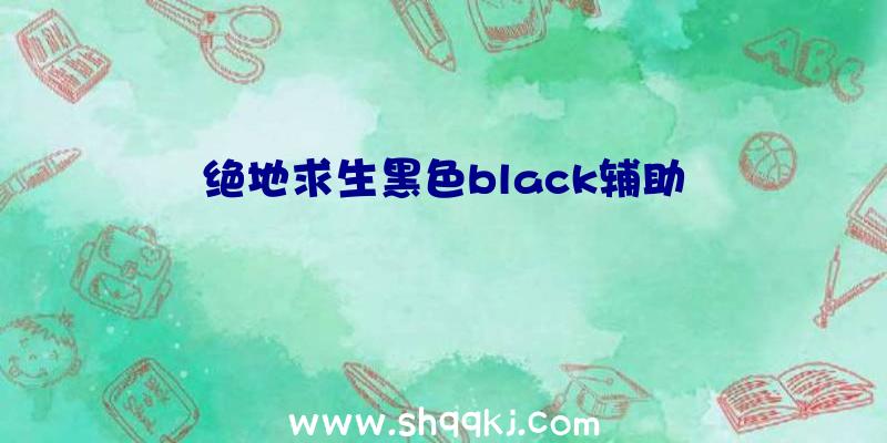 绝地求生黑色black辅助