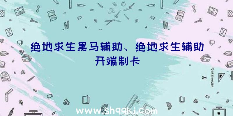 绝地求生黑马辅助、绝地求生辅助开端制卡