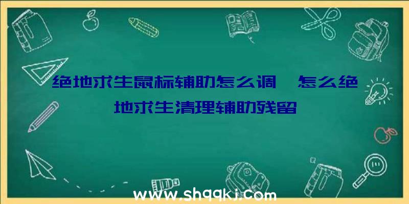 绝地求生鼠标辅助怎么调、怎么绝地求生清理辅助残留