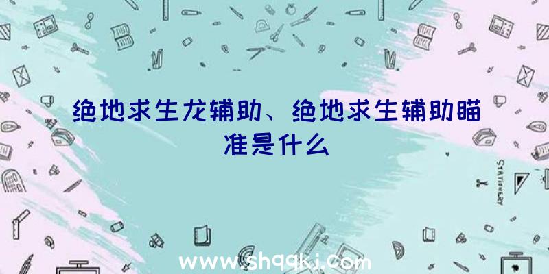 绝地求生龙辅助、绝地求生辅助瞄准是什么