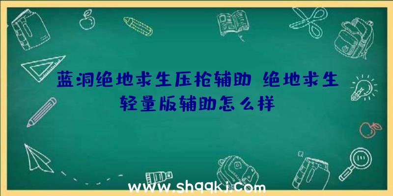 蓝洞绝地求生压枪辅助、绝地求生轻量版辅助怎么样