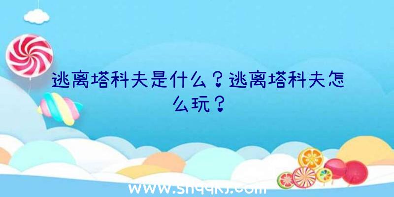 逃离塔科夫是什么？逃离塔科夫怎么玩？