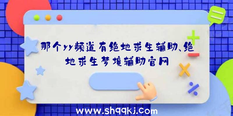 那个yy频道有绝地求生辅助、绝地求生梦境辅助官网