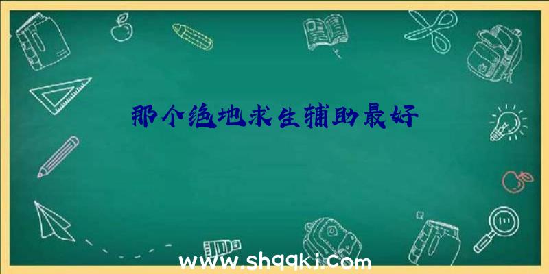 那个绝地求生辅助最好