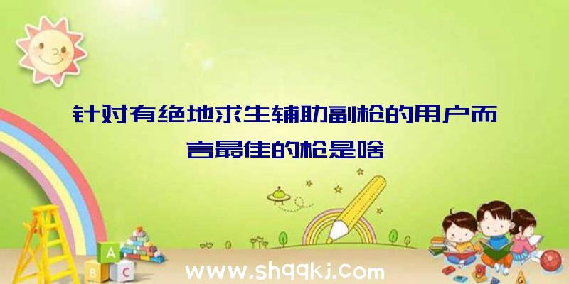 针对有绝地求生辅助副枪的用户而言最佳的枪是啥