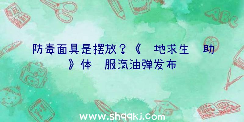 防毒面具是摆放？《绝地求生辅助》体验服汽油弹发布